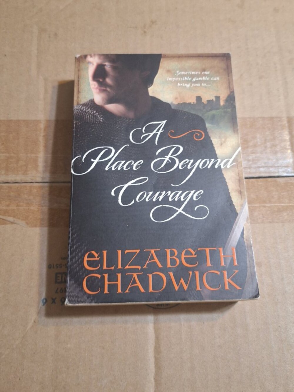 A Place Beyond Courage